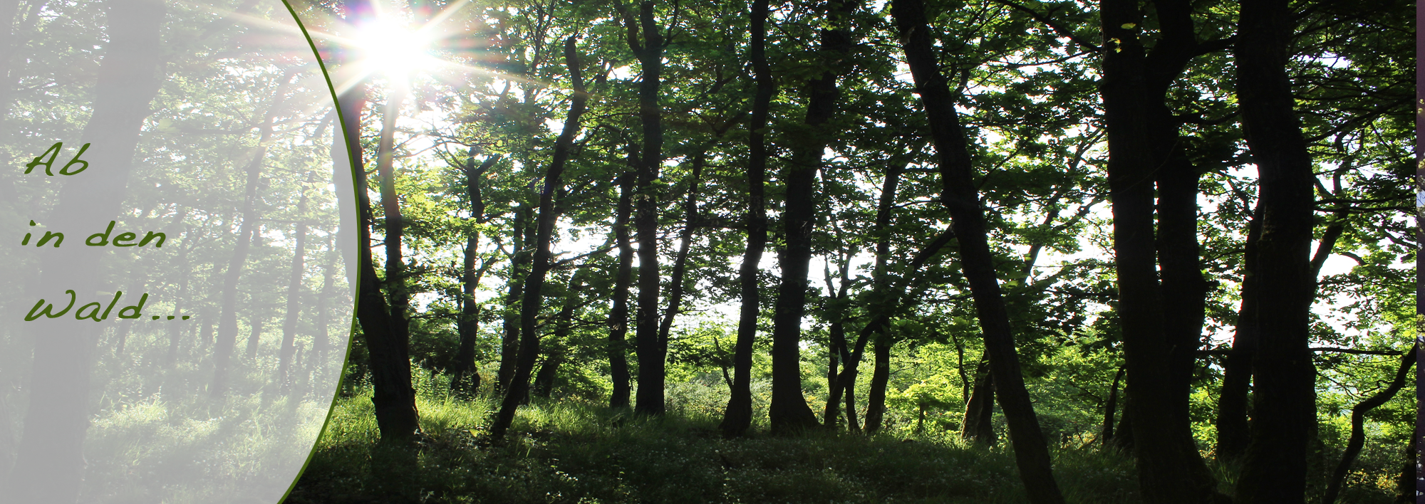 Stacks Image 111